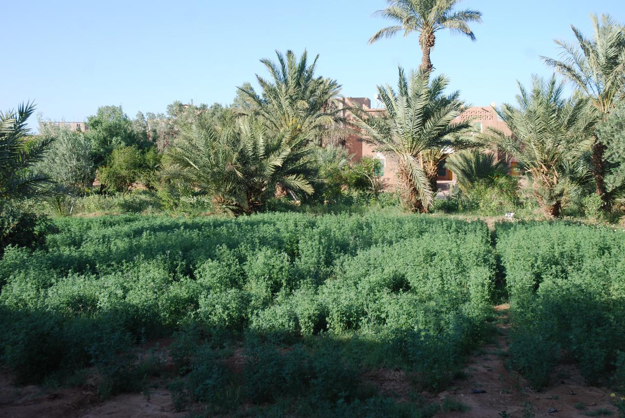 D'Hote Jnane-Dar Diafa Tamgrout Экстерьер фото