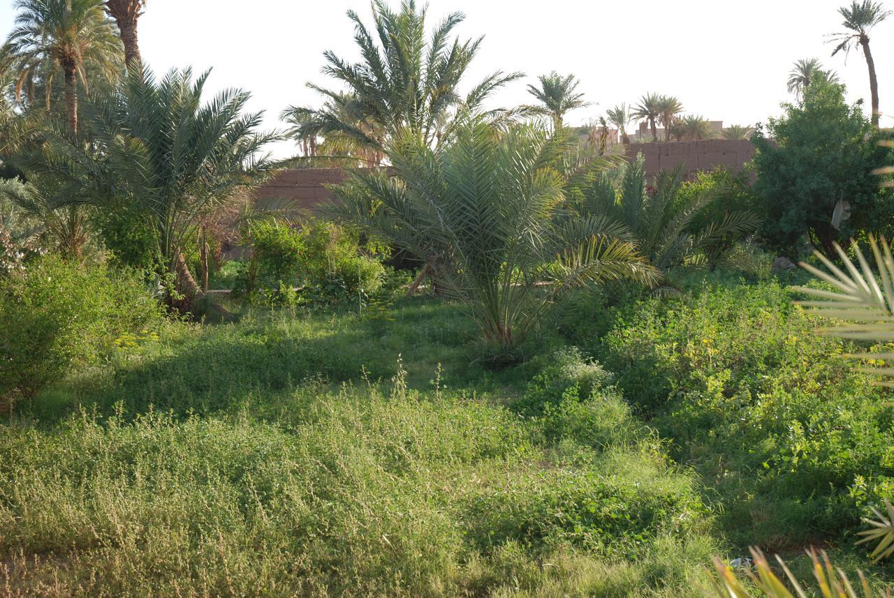D'Hote Jnane-Dar Diafa Tamgrout Экстерьер фото